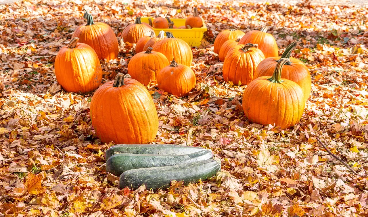 10 Easy Crafts for Celebrating Thanksgiving with Family